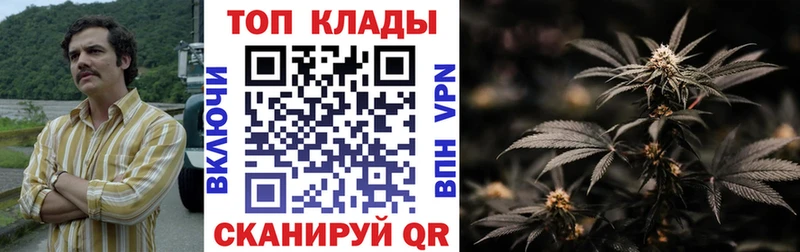 Хочу наркоту Тамбов COCAIN  A PVP  ГАШИШ  Мефедрон 