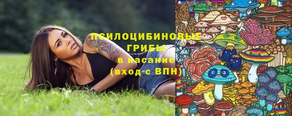 ГАЛЛЮЦИНОГЕННЫЕ ГРИБЫ Тында
