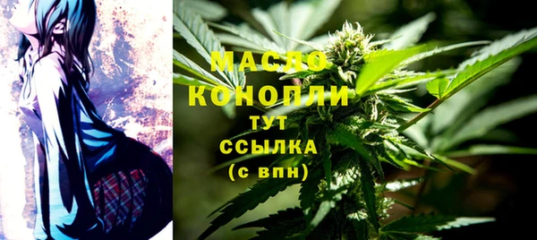 винт Новозыбков