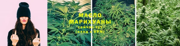 молекула духа Нягань