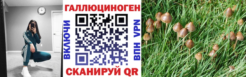 Псилоцибиновые грибы Psilocybine cubensis  гидра ссылка  Тамбов 