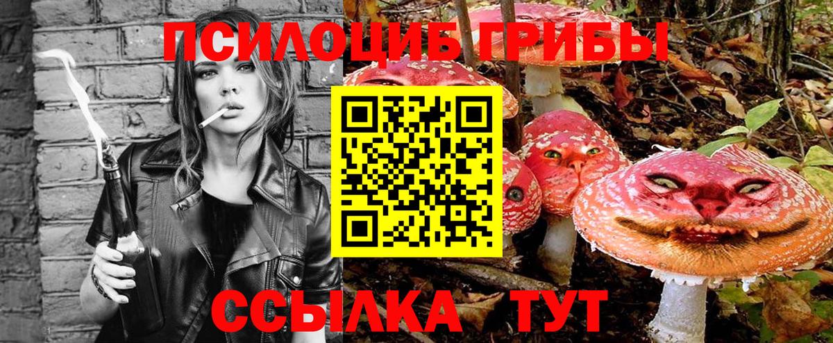 Псилоцибиновые грибы Magic Shrooms Тамбов